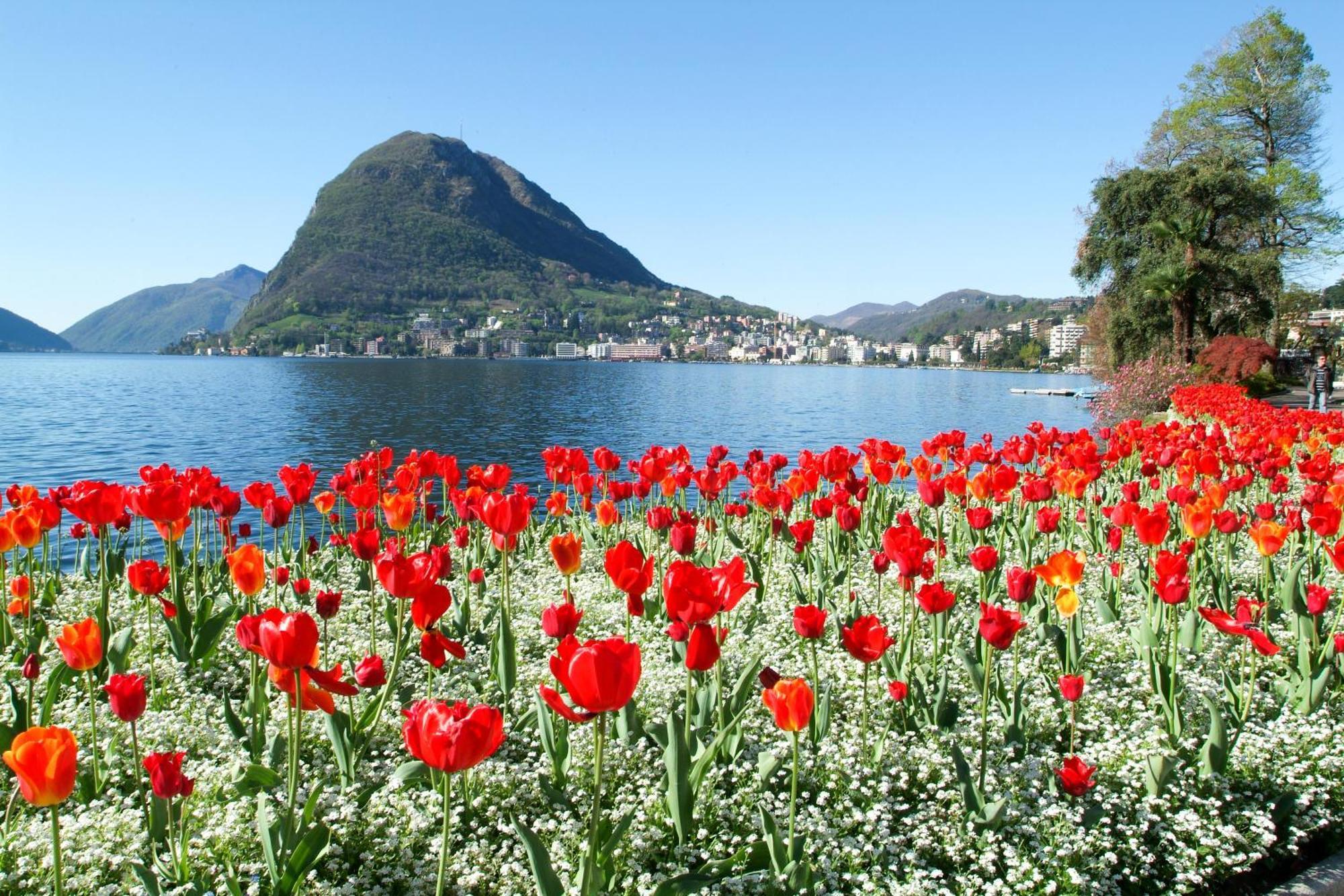 Ferienhaus In Lugano - Happy Rentals Eksteriør bilde